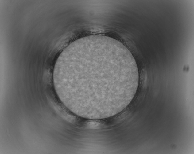 X0000112350614200909241103