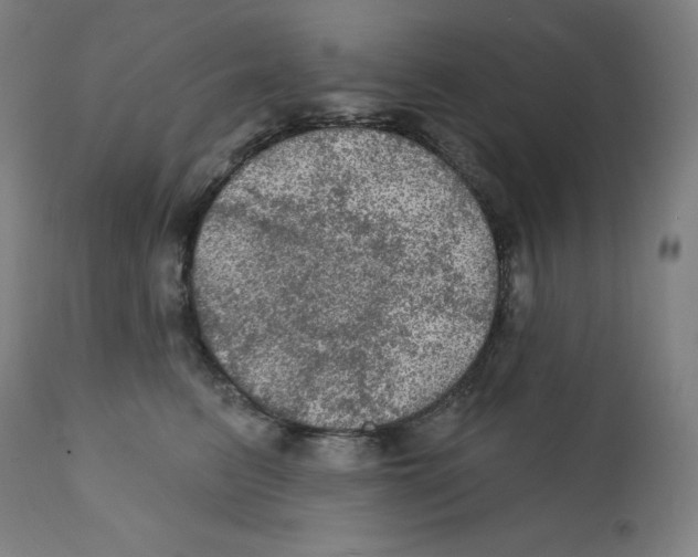 X0000112350615200909241103