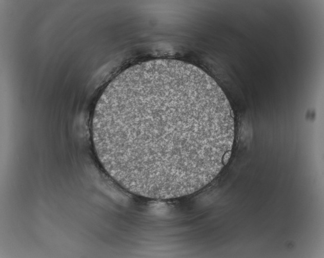 X0000112350616200909241103