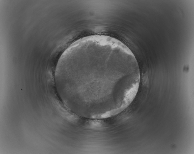 X0000112350618200909241103