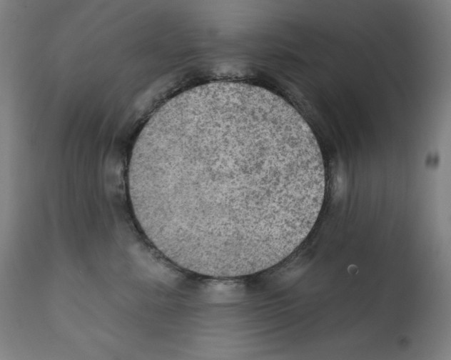 X0000112350619200909241103