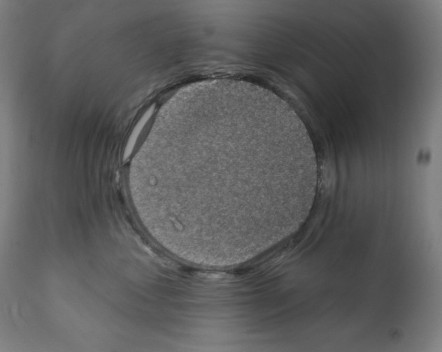 X0000112350621200909241103