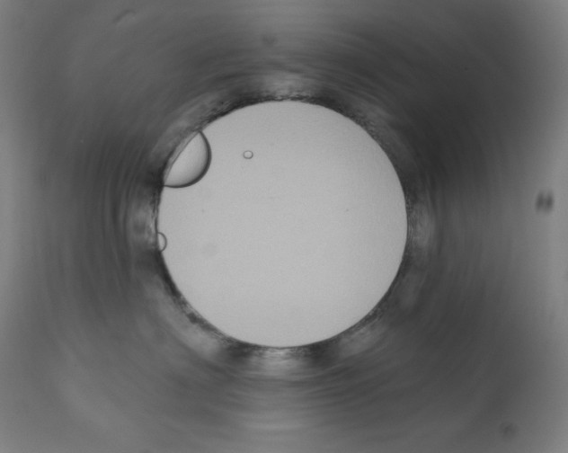 X0000112350622200909241103