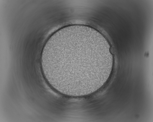 X0000112350625200909241103