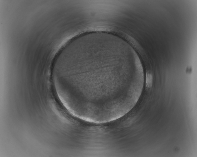 X0000112350627200909241103