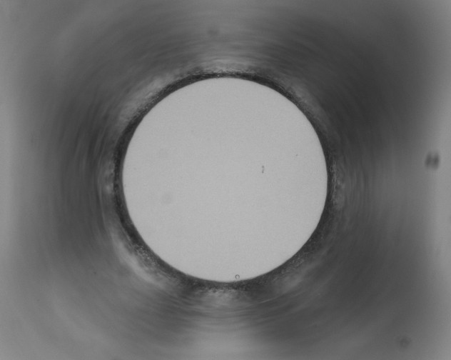 X0000112350631200909241103