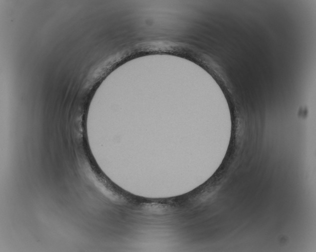 X0000112350633200909241103