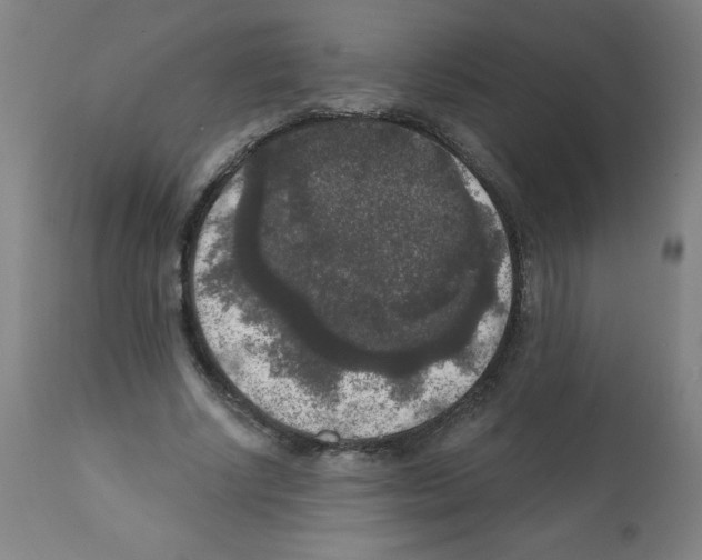 X0000112350634200909241103