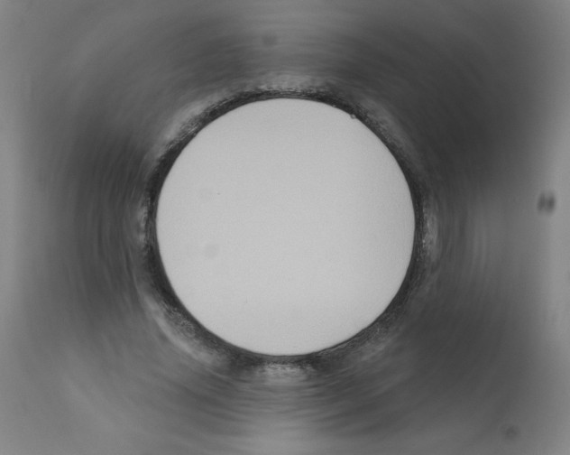 X0000112350636200909241103