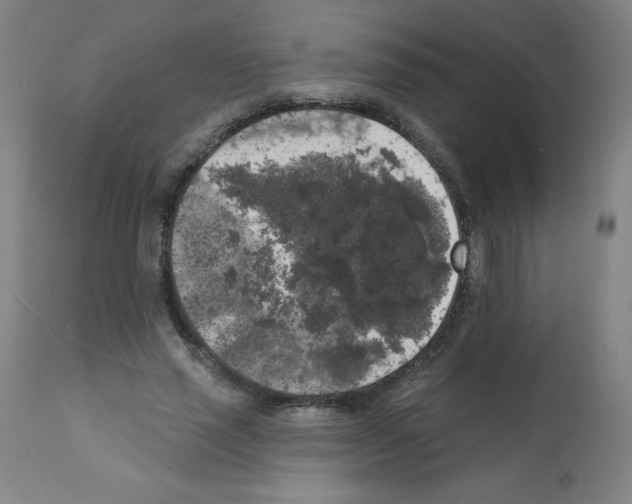 X0000112350637200909241103