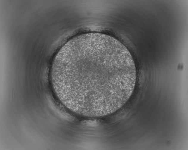 X0000112350639200909241103