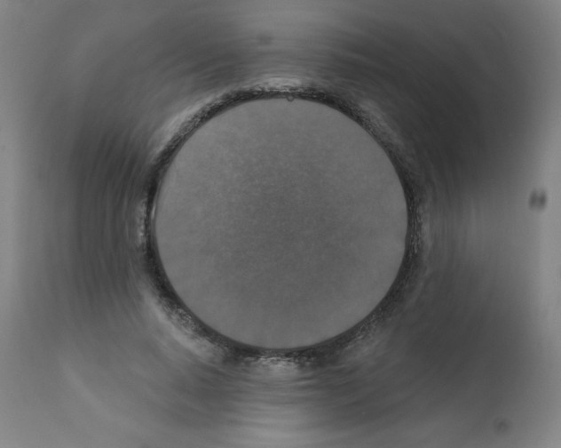 X0000112350640200909241103