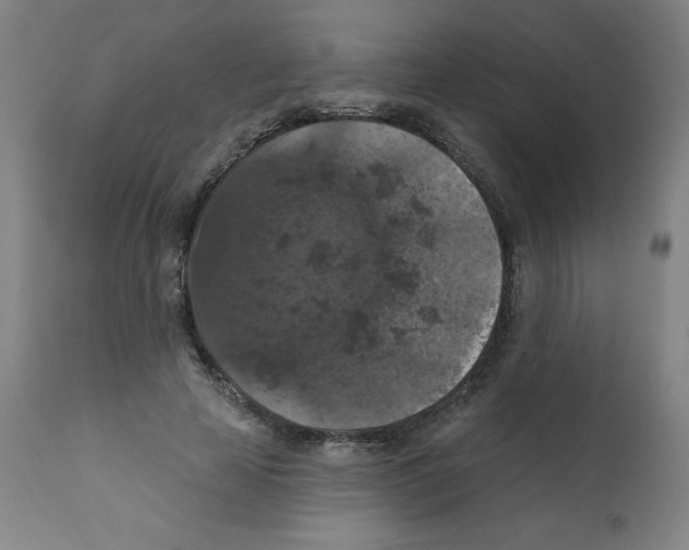 X0000112350641200909241103