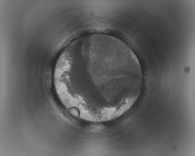 X0000112350642200909241103