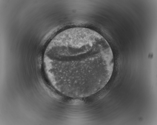 X0000112350644200909241103