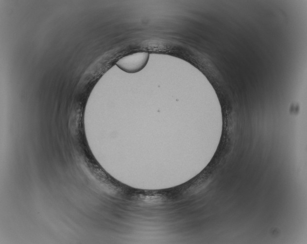 X0000112350645200909241103