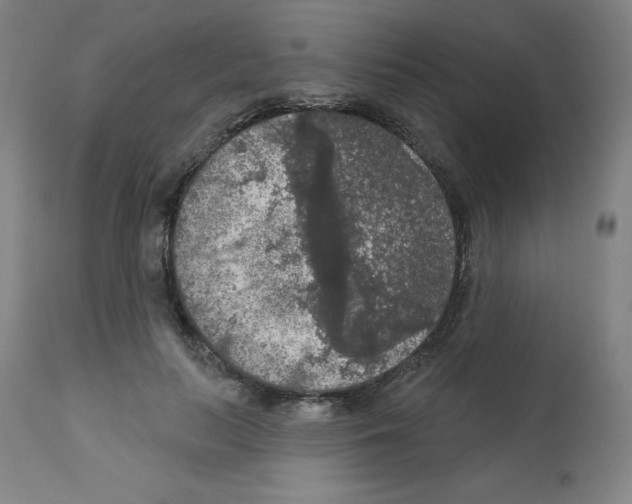 X0000112350647200909241103