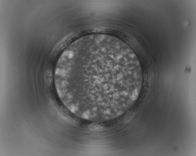 X0000112350648200909241103