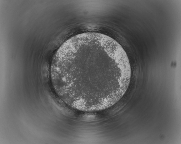 X0000112350651200909241103