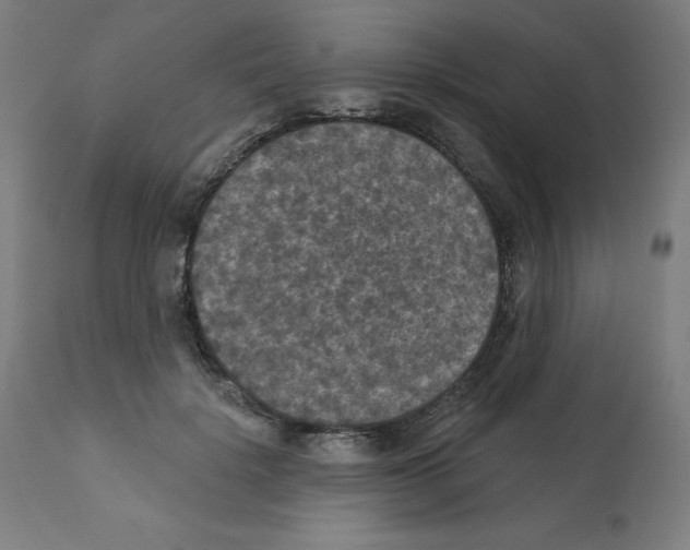 X0000112350652200909241103