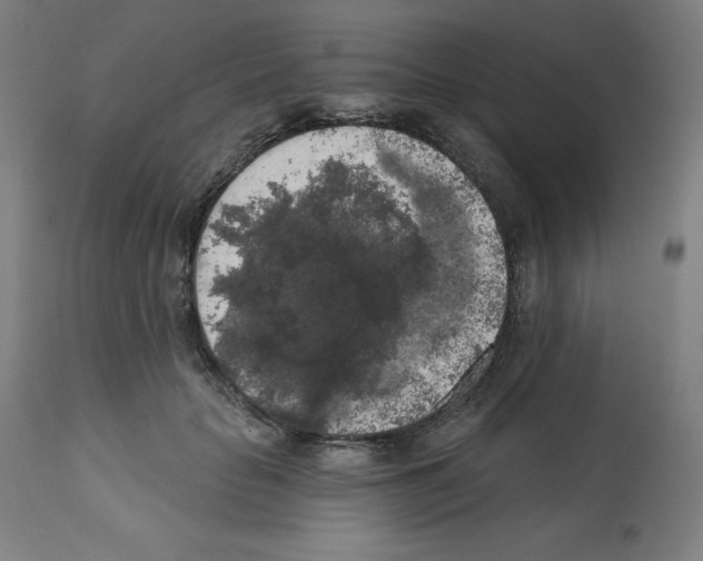 X0000112350653200909241103