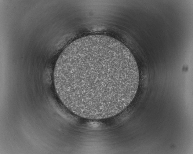 X0000112350654200909241103