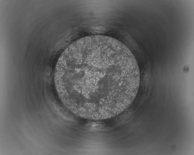 X0000112350655200909241103