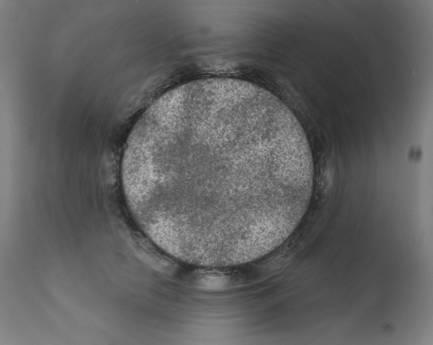 X0000112350658200909241103