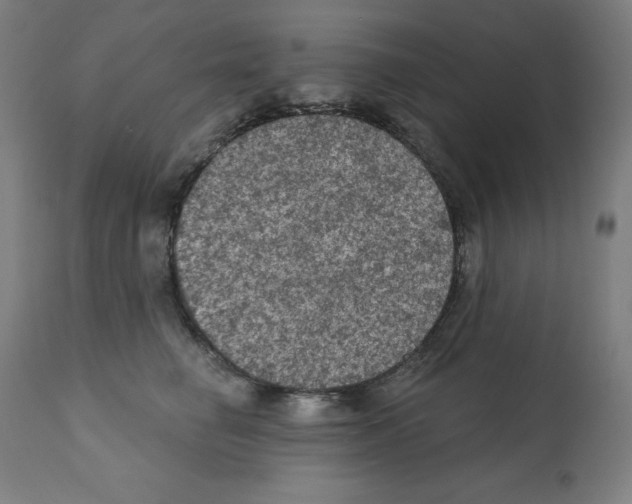 X0000112350662200909241103