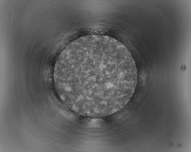 X0000112350663200909241103