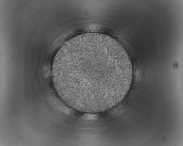 X0000112350665200909241103