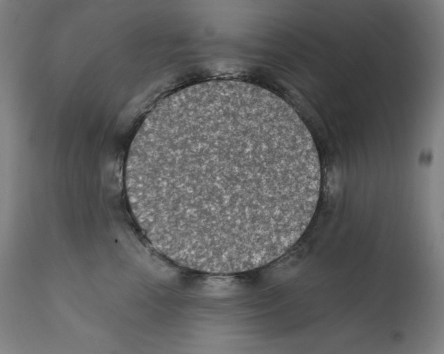 X0000112350666200909241103