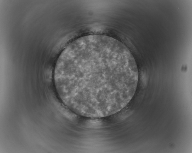 X0000112350668200909241103