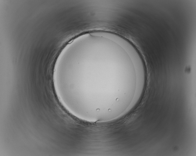 X0000112350673200909241103