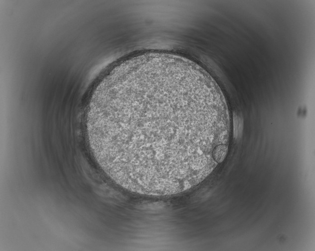 X0000112350675200909241103