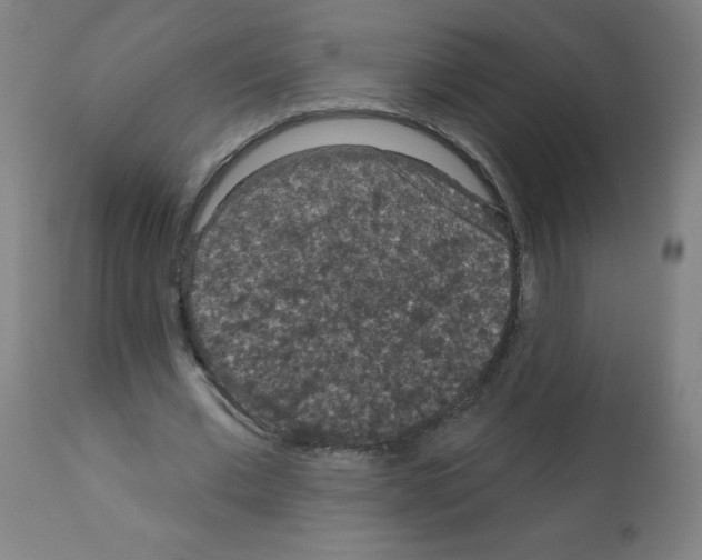 X0000112350677200909241103