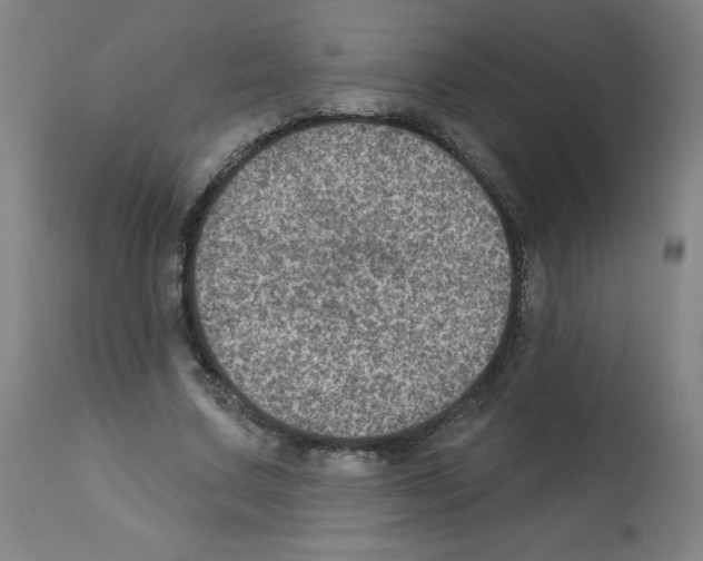 X0000112350683200909241102