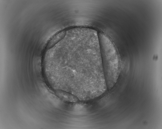 X0000112350684200909241102