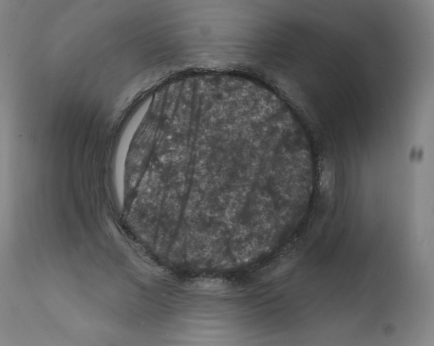 X0000112350685200909241102