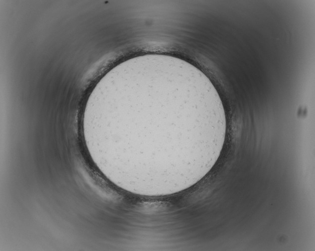 X0000112350686200909241102