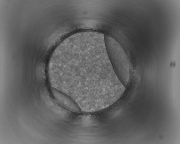 X0000112350688200909241102