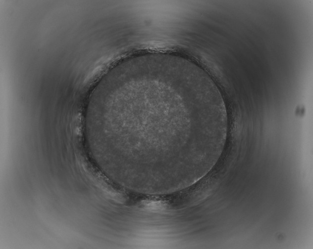 X0000112350689200909241102