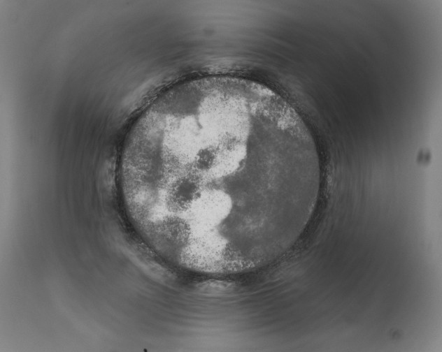 X0000112350691200909241102