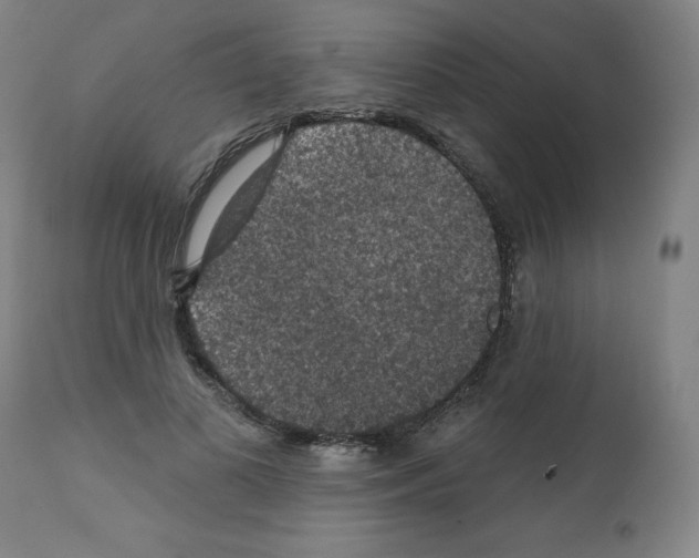 X0000112350693200909241102