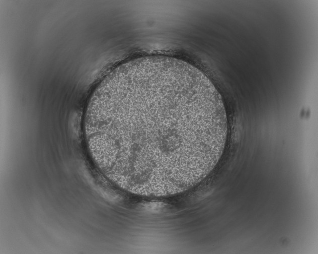 X0000112350695200909241102