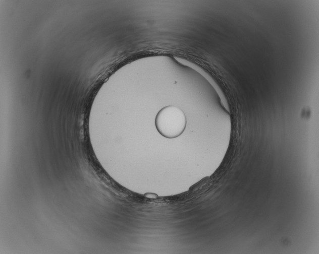 X0000112350696200909241102