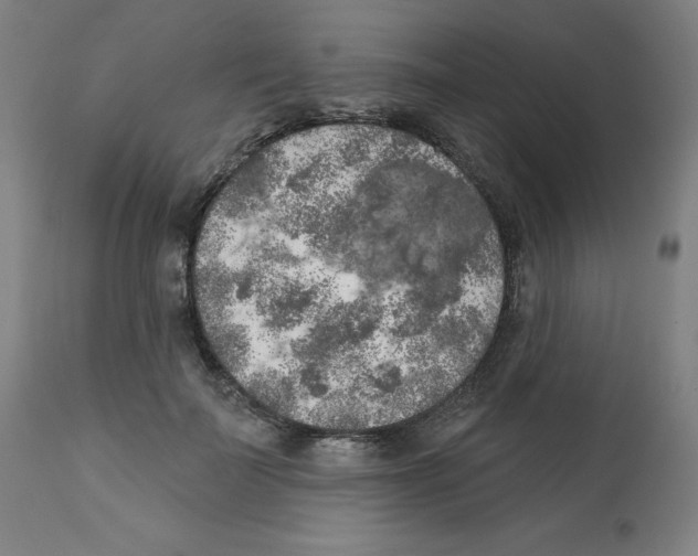 X0000112350699200909241102