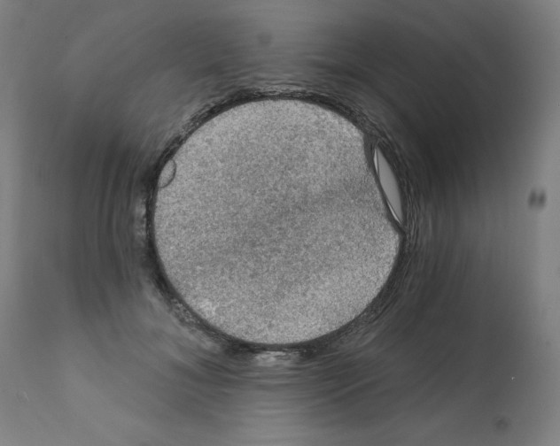 X0000112350700200909241102