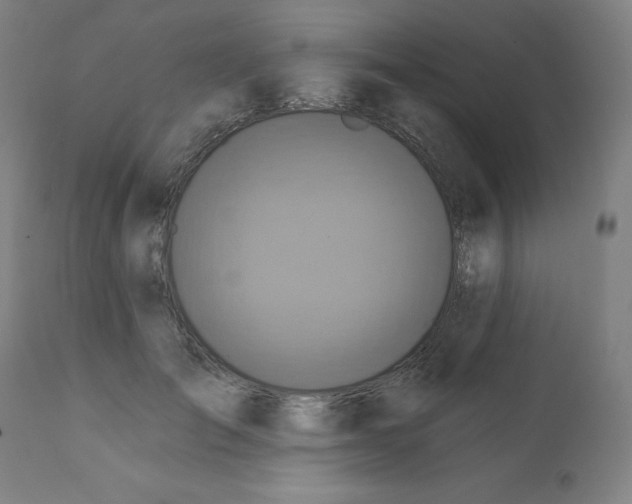 X0000112350701200909241102