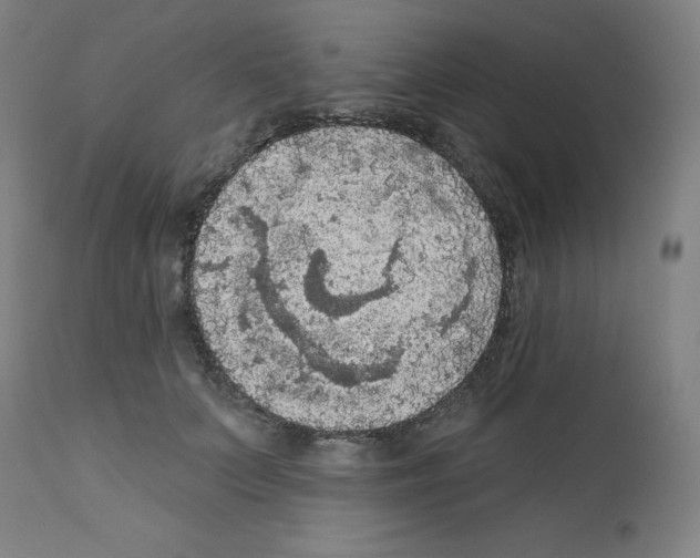 X0000112350703200909241102